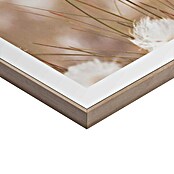 Reinders Bild Slim Frame Wood (Cotton Pops, B x H: 30 x 40 cm) | BAUHAUS