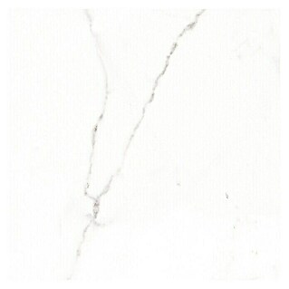Pavimento porcelánico Palatina (60,5 x 60,5 cm, Blanco Carrara, Brillante)