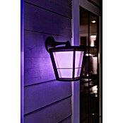 Philips Hue LED-Außenwandleuchte White & Color Ambiance Econic Laternenform (1-flammig, 15 W, Lichtfarbe: Bunt, IP44)