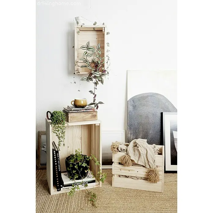 Astigarraga Home Box Holzkiste - L x B x H: 28 x 38,4 x 25,6 cm, Kiefernholz - Holzkisten-Arrangement mit Pflanzen, Büchern und Wohnaccessoires auf einem Teppich, präsentiert eine stilvolle und natürliche Raumatmosphäre.