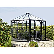 Vitavia Anzuchthaus (3,83 x 3,36 x 2,78 m, Anthrazit/Schwarz)