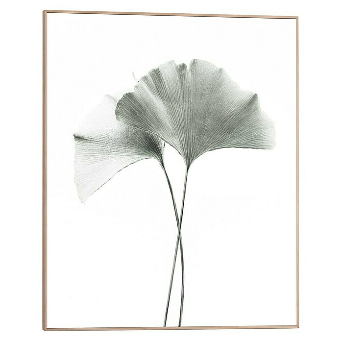 Reinders Bild Slim Frame Wood (Gingko, B x H: 40 x 50 cm) | BAUHAUS