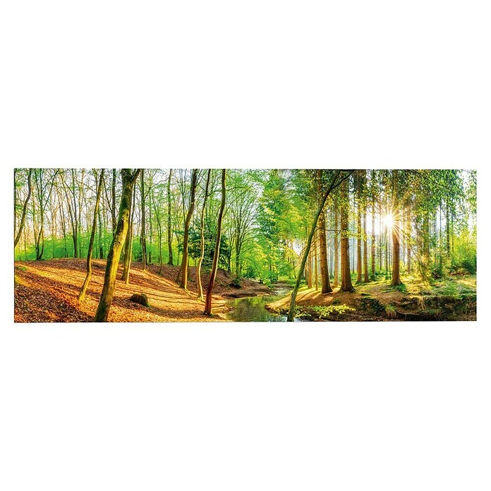 Reinders Decopanel (Spring Woods, An x Al: 156 x 52 cm) | BAUHAUS