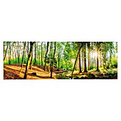 Reinders Decopanel (Spring Woods, An x Al: 156 x 52 cm) | BAUHAUS