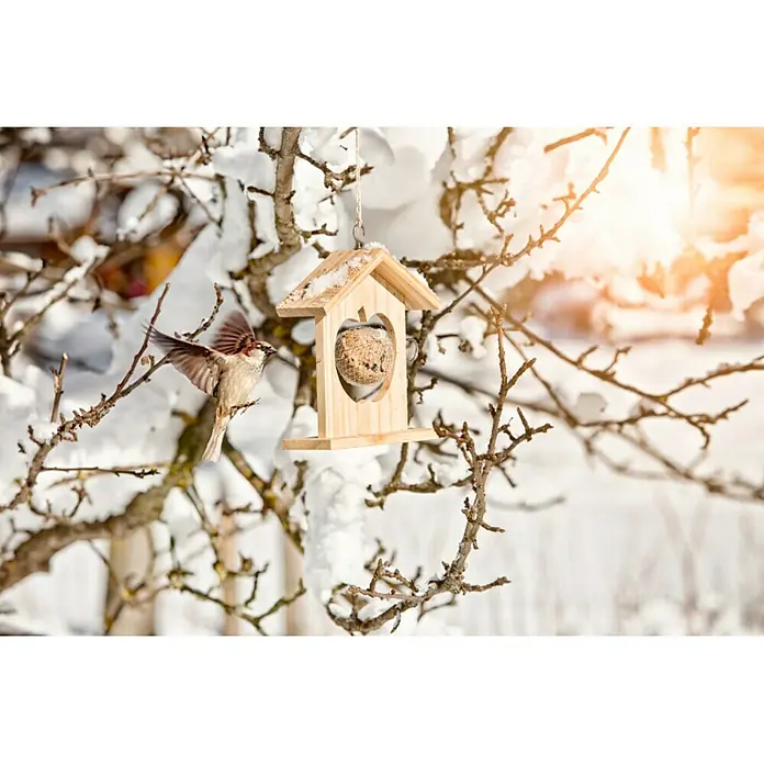 Windhager Meisenknödelhalter - L x B x H: 19 x 6 x 19,5 cm, Massivholz, Unbehandelt - Ein hölzernes Vogelhaus mit einem Futterknödel hängt an einem verschneiten Baum, während ein Spatz anfliegt.