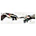 Reinders Glasbild Creation Art 