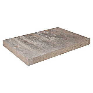 EHL Terrassenplatte Olinda (60 x 40 x 4 cm, Muschelkalk, Beton)