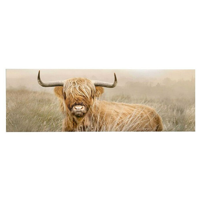 Decopanel (Highlander-Natur, B x H: 52 x 156 cm) | BAUHAUS