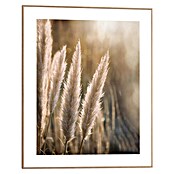 Reinders Bild Slim Frame Wood (Sunset Grasses, B x H: 40 x 50 cm) | BAUHAUS