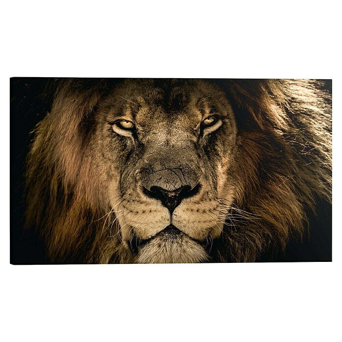 Holzbild Deco Block (Dark Lion, B x H: 118 x 70 cm) | BAUHAUS