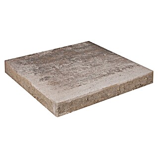 EHL Terrassenplatte Olinda (40 x 40 x 4 cm, Muschelkalk, Beton)