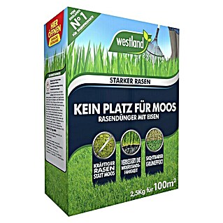 Westland Rasendünger Kein Platz für Moos (2,5 kg, Inhalt ausreichend für ca.: 100 m²)