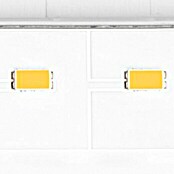 Steinel Led-buitenwandstraler met sensor (l x b x h: 202 x 229 x 195 mm, Warm wit, 23,5 W, Antraciet)