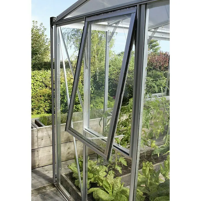 Vitavia Gewächshaus-Seitenfenster Z - Aluminium - Nahaufnahme eines Gewächshauses mit geöffnetem Fenster, das die Pflanzen im Inneren belüftet und Einblicke in den Garten ermöglicht.