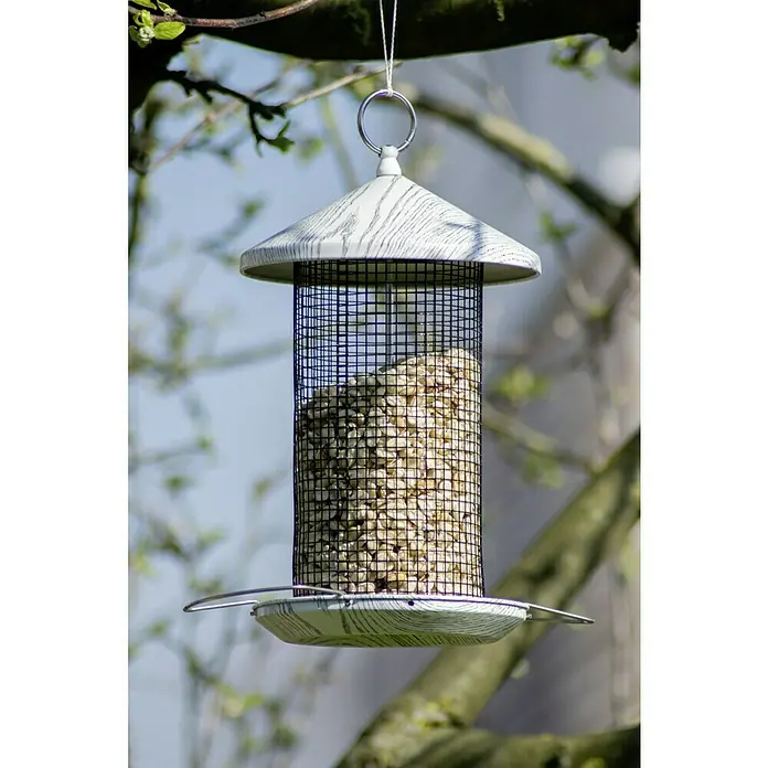 Dobar Futterspender Smooth - L x B x H: 19 x 19 x 31,5 cm, Metall, Mit Silo - Nahaufnahme eines hängenden Vogelfutterautomaten mit Samen darin, der an einem Ast befestigt ist und eine dekorative Ergänzung für den Garten darstellt.