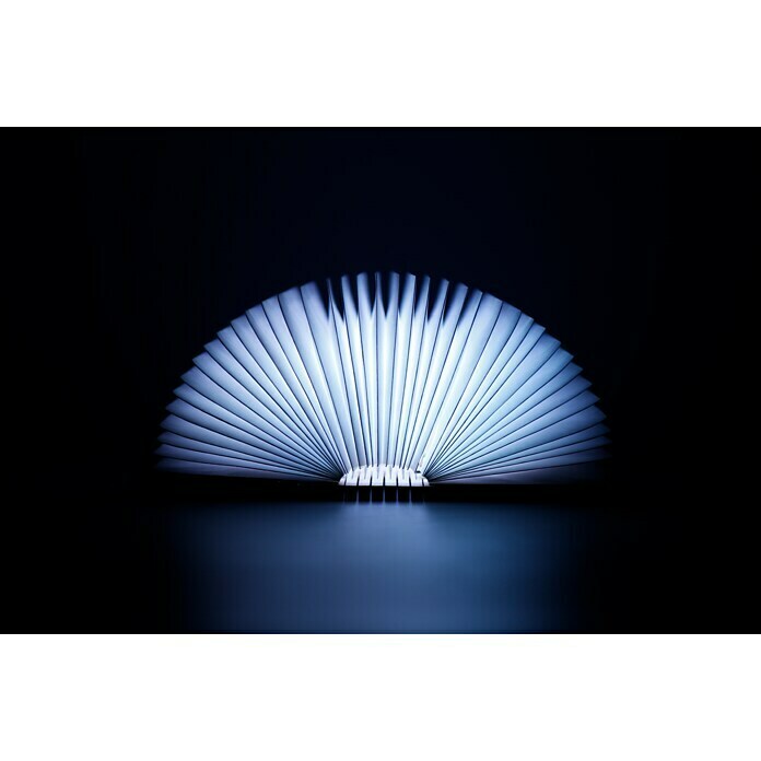 LED-Nachtlicht Book (Braun/Transparent, 2,5 x 9 x 12,3 cm, RGBW)