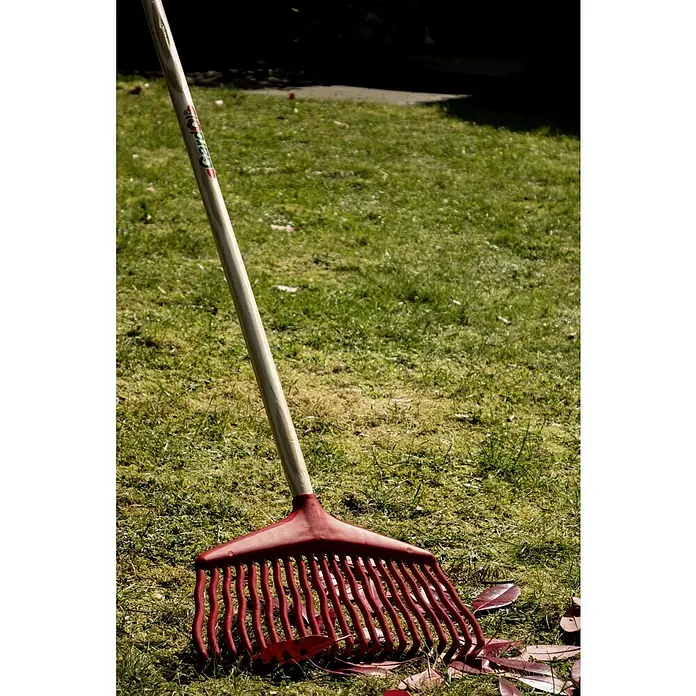 Gardol Laubbesen - Arbeitsbreite: 38 cm, Anzahl Zinken: 21, Langstiel - Roter Rechen auf einer Wiese mit einigen Blättern. Der Rechen hat einen hölzernen Stiel und rote Zinken zum Zusammenkehren von Laub.