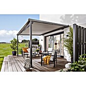 b!design WPC-Terrassendiele (Ipe, 300 x 13,8 x 2,25 cm)