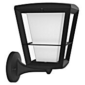 Philips Hue Led-wandlamp voor buiten (1 lampen, 15 W, Lichtkleur: Bont, IP44)