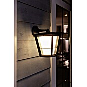 Philips Hue Led-wandlamp voor buiten (1 lampen, 15 W, Lichtkleur: Bont, IP44)