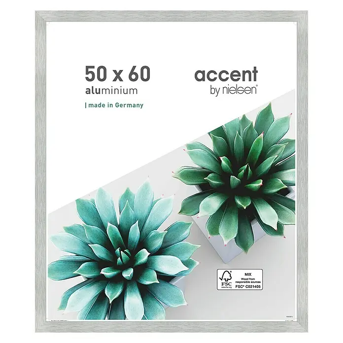 Alurahmen Star - 50 x 60 cm, Silber - Aluminium Bilderrahmen 50x60 cm von Accent by Nielsen mit einem Bild von Sukkulenten. Der Rahmen ist in Deutschland hergestellt.