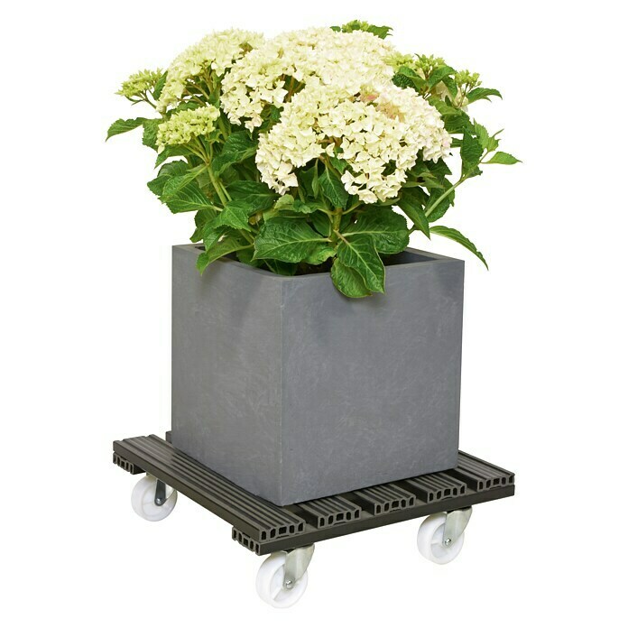 Gardol Podložak za biljke s kotačićima (38,5 x 38,5 cm, Antracit, Maksimalna nosivost: 100 kg)