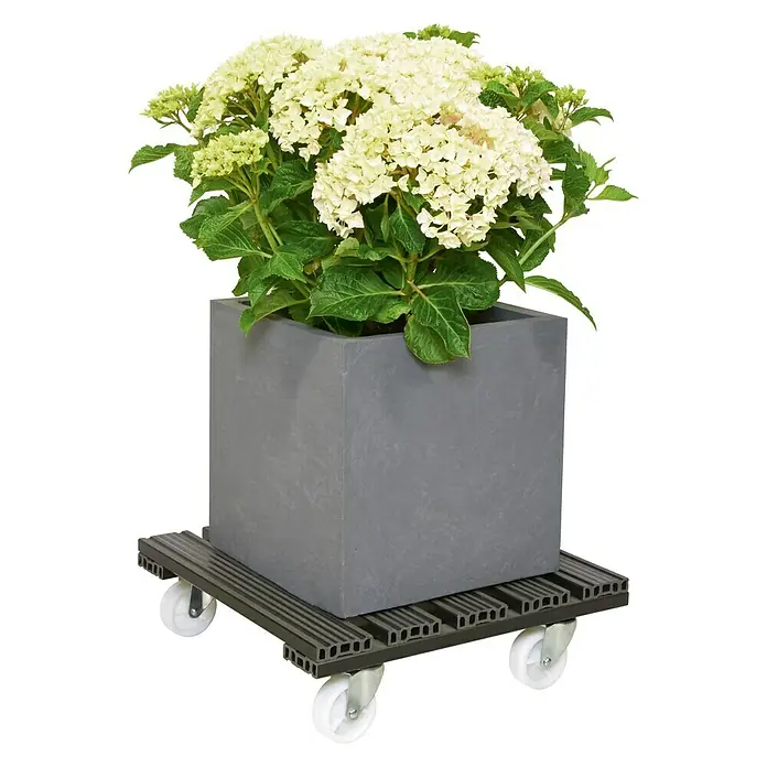 Wagner System Pflanzenroller - 38,5 x 38,5 cm, Anthrazit, Max. Belastung: 100 kg - Grauer Pflanzkübel mit einer üppigen Hortensie auf einem Rollbrett mit Rädern, ideal für flexible Gartengestaltung.