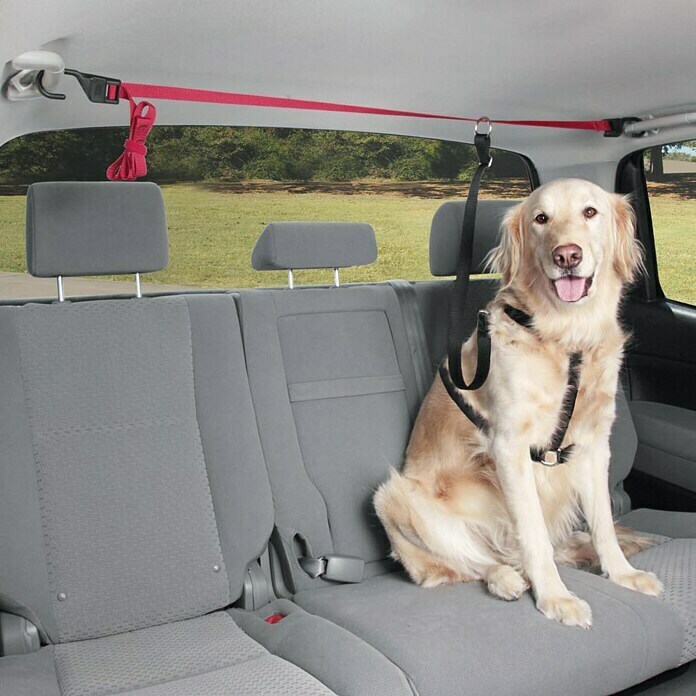 Pets Travel Sicherheitsgurt mit LeineVerstellbarkeit: 40 cm - 75 cm, Karabinerhaken Use Shot