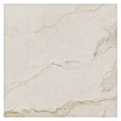 Azteca Feinsteinzeugfliese Calacatta Gold  (L x B: 60 x 60 cm, Marmor/Gold, Matt)