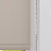 Expo Ambiente Rolo  (Š x V: 180 x 275 cm, Krem, Univerzalen, Prepustnost za dnevno svetlobo) | 6443 - Textil-Rollos | HDDA - Fenster-Sonnenschutz | HDD - Sonnenschutz | HD - Ambiente | H - Innendeko/Farben | BAUHAUS