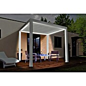 Wismar-NFI Pergola Bio (L x B: 480 x 359,3 cm, Weiß)