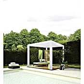 Wismar-NFI Pergola Bio (L x B: 480 x 359,3 cm, Weiß)