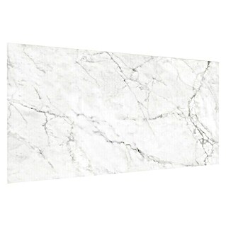 Palram - Innovera Décor Wandpaneel Carrara (Grauweiß, 62 x 40 cm)