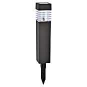 BAUHAUS Solar-Erdspieß (LED, 4 Stk., Anthrazit, Höhe: 39 cm)