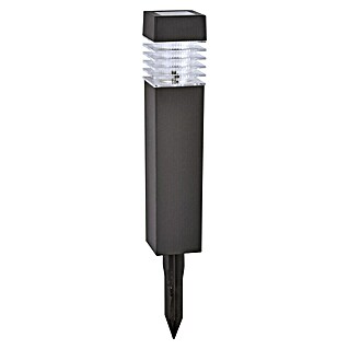 BAUHAUS Solarleuchten-Set Piazza (4 Stk., L x B x H: 6 x 6 x 39 cm, Anthrazit, IP44, 3 lm)