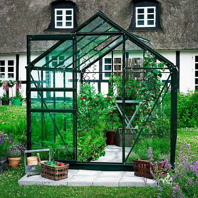 Halls Gewächshaus Popular 86 - Außenmaß inkl. Dachüberstand (B x T): 193 x 257 cm, Material Seitenwand: Glas, 3 mm, Grün - Das Bild zeigt ein Gewächshaus voller Pflanzen, darunter Tomaten, in einem Garten mit einem strohgedeckten Haus im Hintergrund.