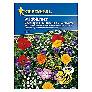 Kiepenkerl Profi-Line Blumensamenmischung Wildblumen (Blütezeit: Juni, 2 m² - 3 m²)