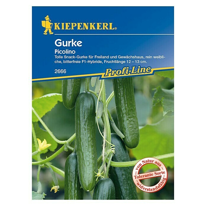 Kiepenkerl Profi-Line Gemüsesamen Gurke PicolinoCucumis sativus, Erntezeit: Juli - September Front View