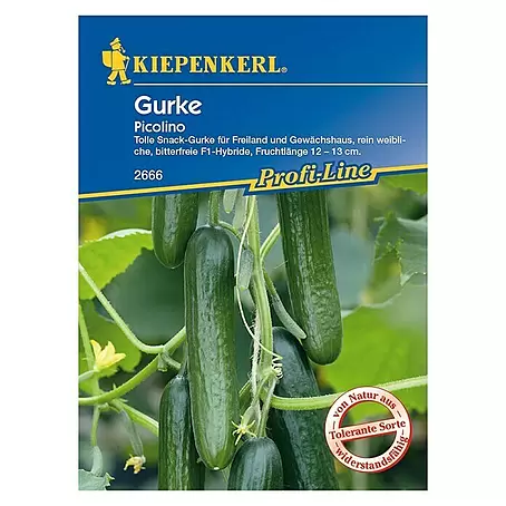 Kiepenkerl Profi-Line Gemüsesamen Gurke Picolino