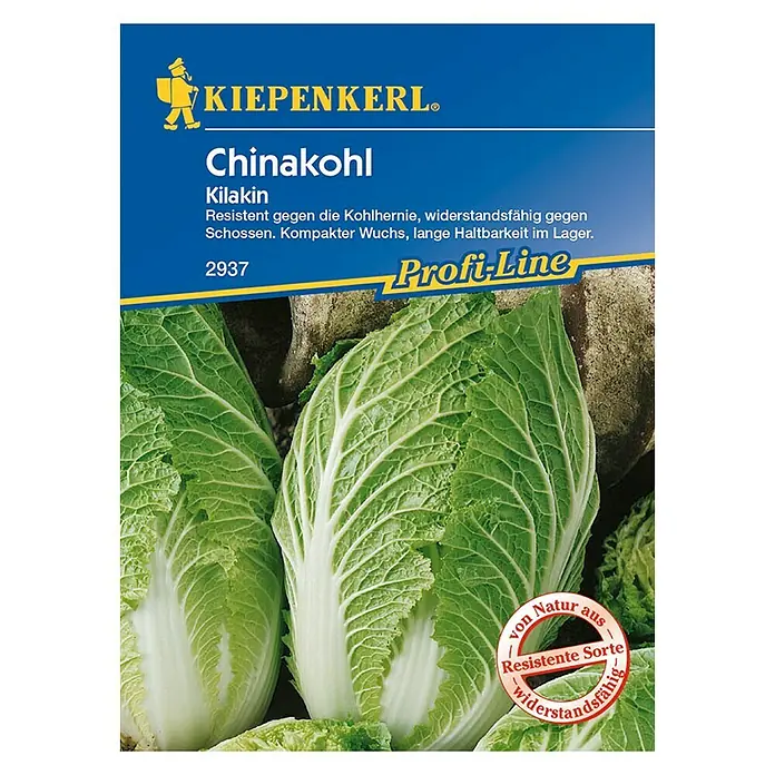 Kiepenkerl Profi-Line Gemüsesamen Chinakohl - Brassica rapa var. pekinensis, Erntezeit: Juni - Chinakohl Kilakin Samenpackung von Kiepenkerl. Resistent gegen Kohlhernie, mit kompaktem Wuchs und langer Haltbarkeit.