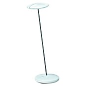 Tween Light Galaxy Lámpara de sobremesa LED (1 luz, 5 W, Blanco, Altura: 40 cm)