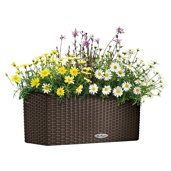 Lechuza Cottage Balkonkasten Balconera - Max. Außenlänge: 80 cm, Kunststoff, Mokka - Blumenkasten mit gelben, weißen und violetten Blüten.
