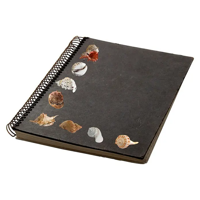 Vinilo de pared - Plástico, Conchas - El cuaderno negro de espiral tiene un toque náutico con un surtido de conchas marinas esparcidas por su portada.