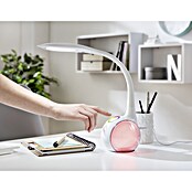 Globo Lámpara de sobremesa LED Tarron (1 x 5 W, Blanco, Blanco diurno, Altura: 53 cm)