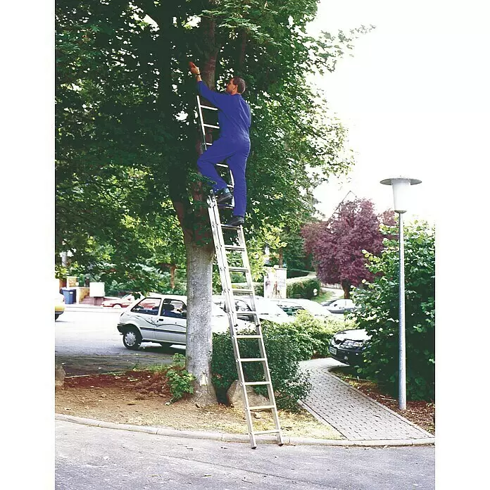 Corda Escalera deslizante - Número de peldaños: 22 ud., Altura de trabajo: 5,3 m, Carga soportada: 150 kg, Aluminio - Una escalera de metal plateado apoyada en un árbol, utilizada por una persona para alcanzar ramas altas.