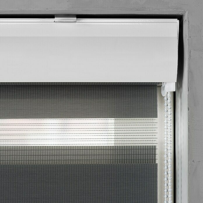 Expo Ambiente Doppelrollo mit Kassette (B x H: 180 x 175 cm, Grau)