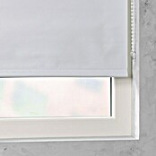 Rolo Basic (Š x V: 100 x 175 cm, Bijelo, Zamračenje)