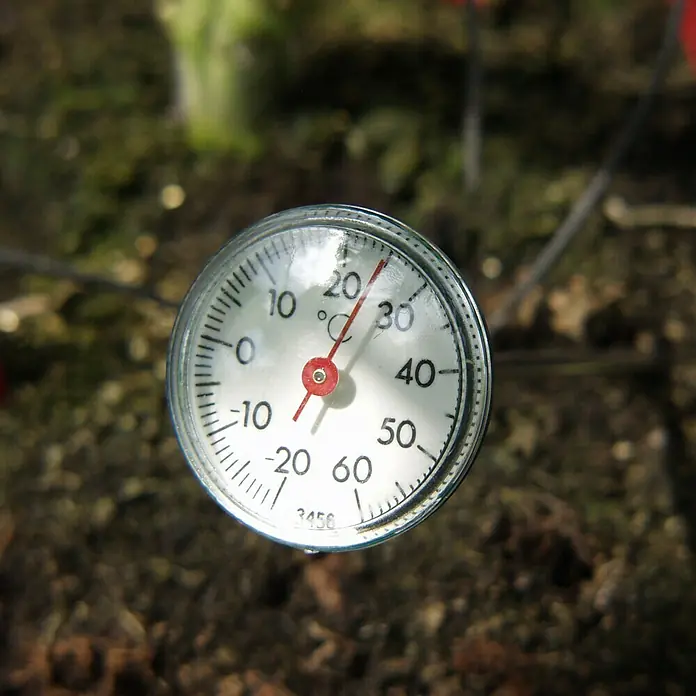 Vitavia Erdbodenthermometer - Analog - Nahaufnahme eines analogen Bodenthermometers, das eine Temperatur von etwa 23 Grad Celsius anzeigt, eingebettet in dunkle Erde.