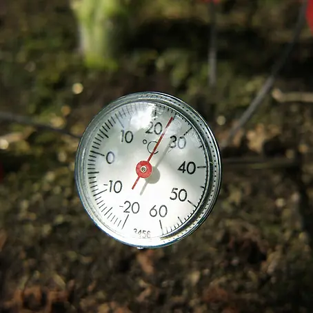 Vitavia  Erdbodenthermometer
