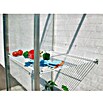 Vitavia Regal-Set (Passend für: Vitavia Anlehngewächshaus Ida 900/1300)